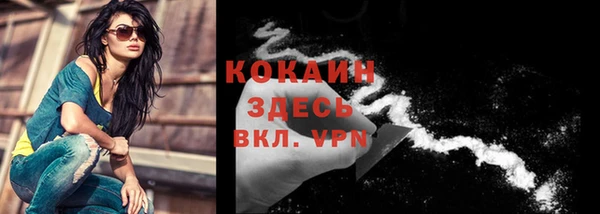 крисы Беломорск