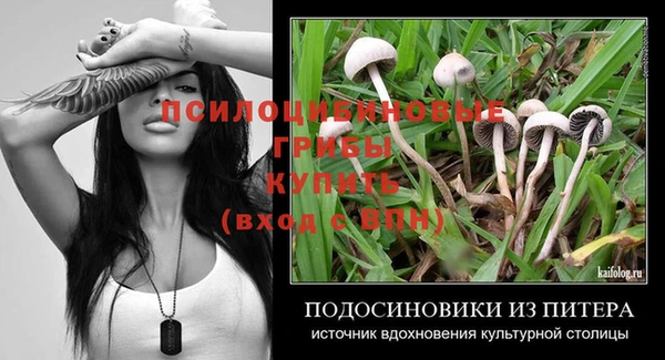 стафф Белокуриха
