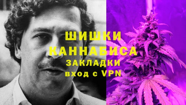стафф Белокуриха