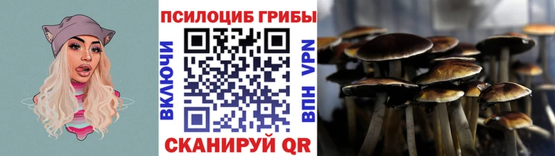 где продают наркотики  Павловск  Псилоцибиновые грибы GOLDEN TEACHER 